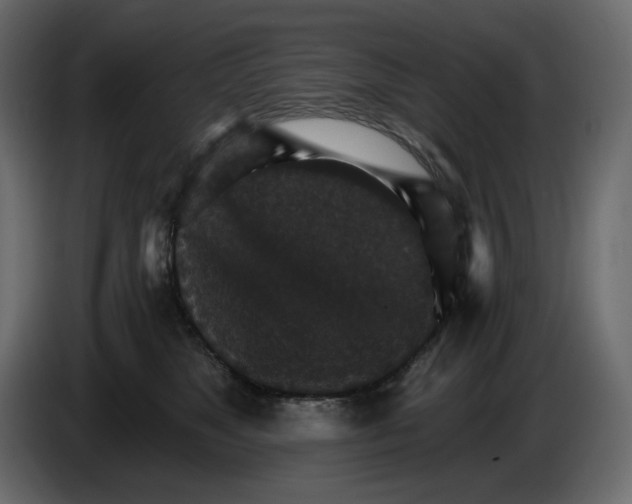 X0000084540517200703231717