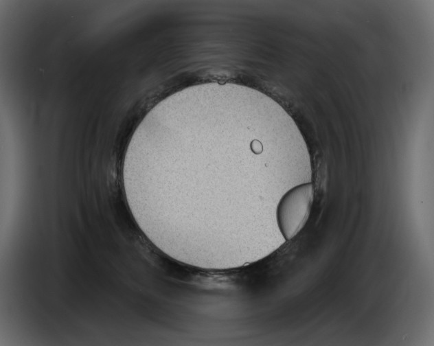 X0000084540518200703231717