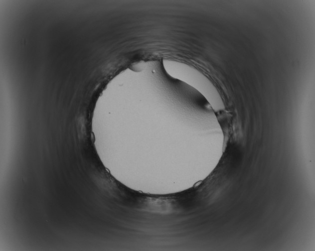 X0000084540520200703231717