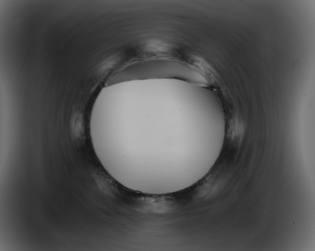 X0000084540524200703231717