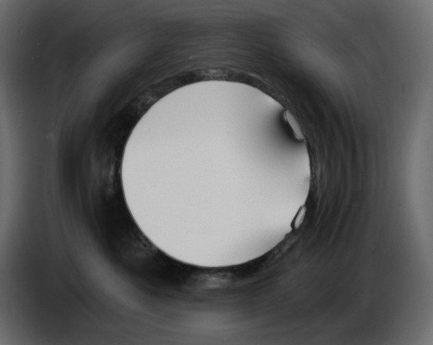 X0000084540525200703231717