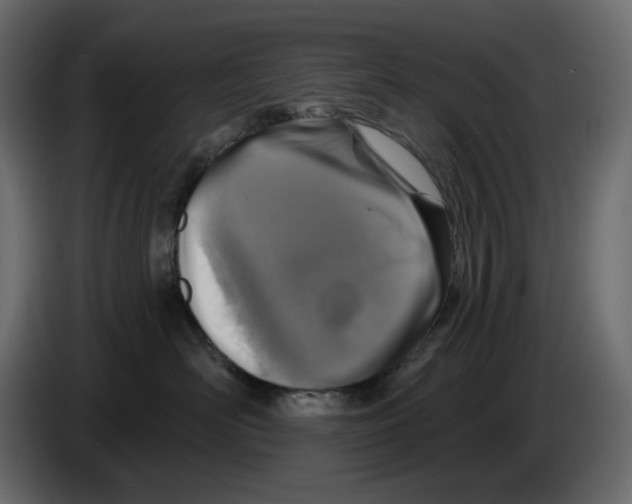 X0000084540526200703231717