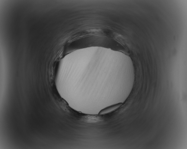 X0000084540528200703231717