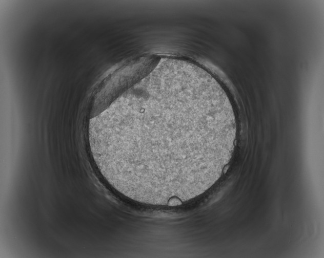 X0000084540529200703231716