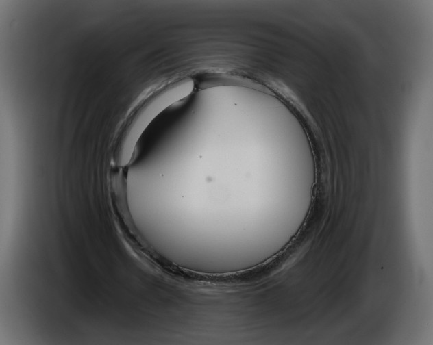 X0000084540530200703231716