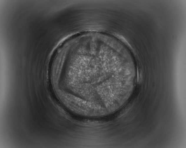 X0000084540531200703231716