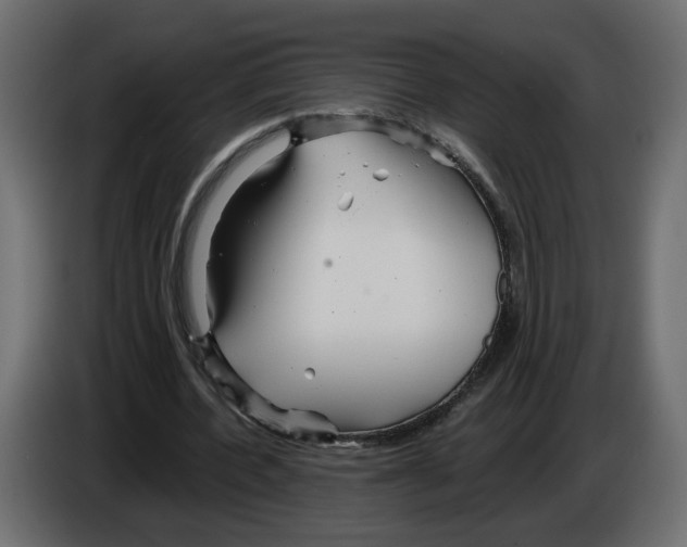 X0000084540532200703231716