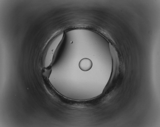 X0000084540534200703231716