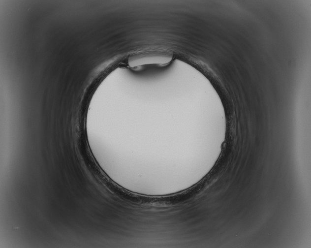 X0000084540536200703231716