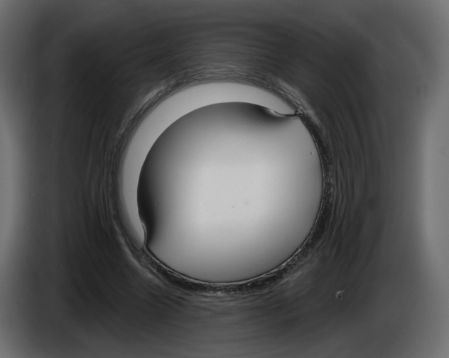 X0000084540538200703231716