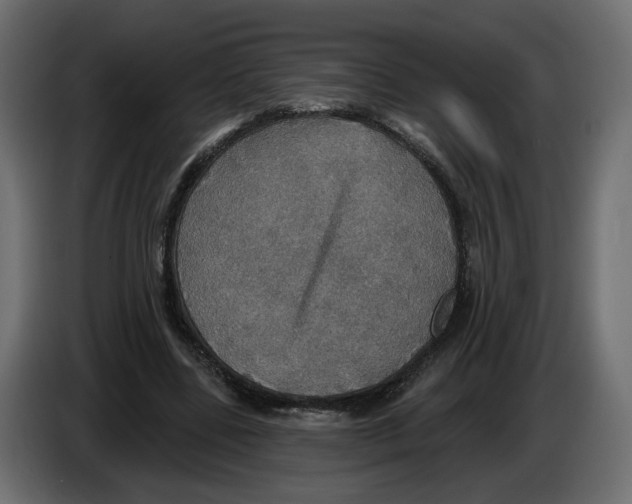 X0000084540539200703231716