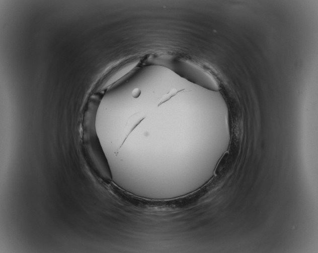 X0000084540540200703231716