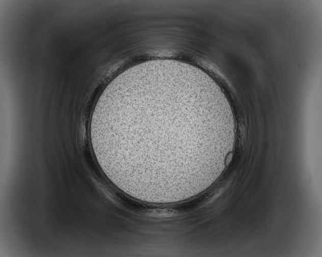 X0000084540541200703231716