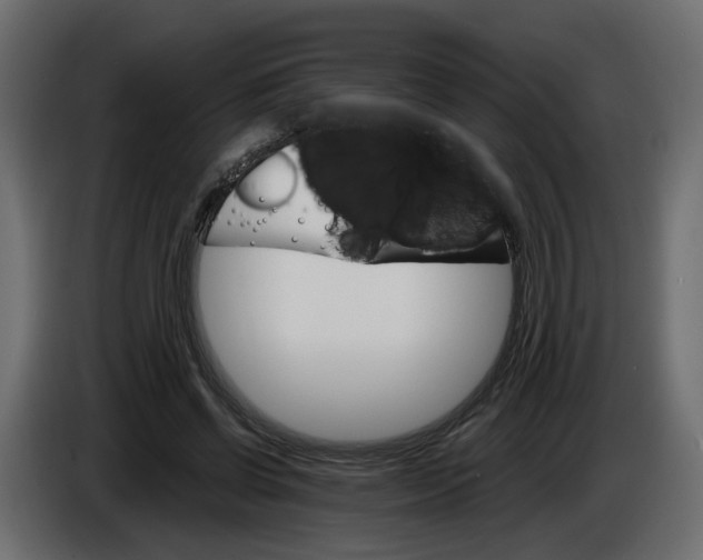 X0000084540542200703231716