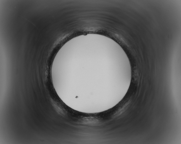 X0000084540544200703231716