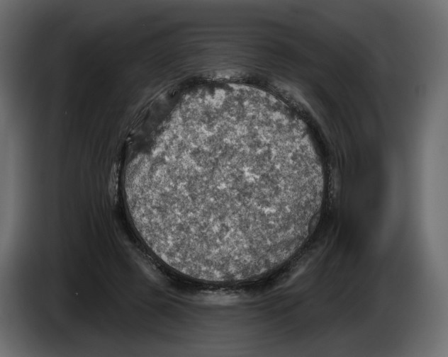 X0000084540545200703231716