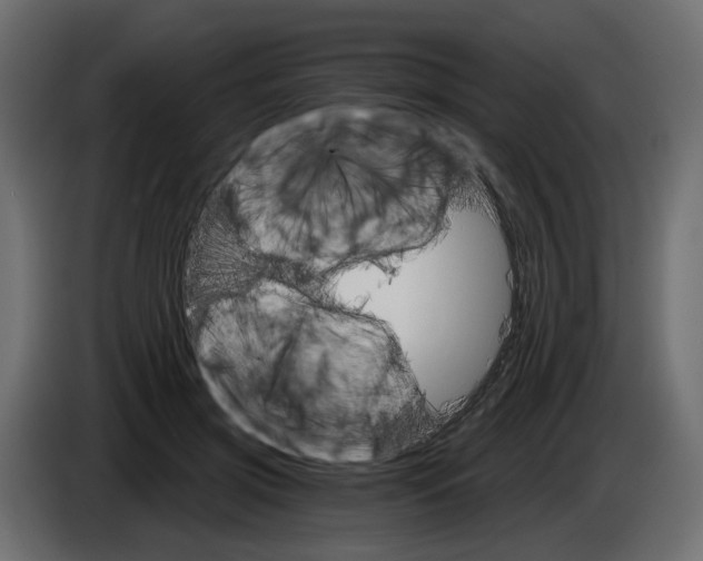 X0000084540549200703231716