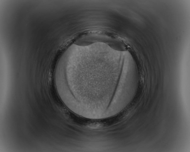 X0000084540551200703231716