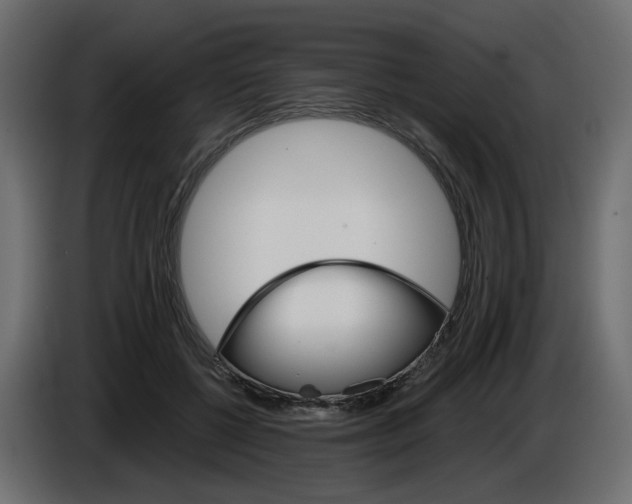 X0000084540552200703231716