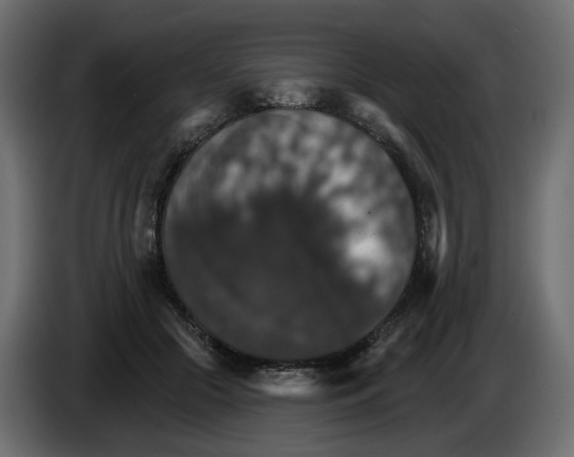 X0000084540553200703231716