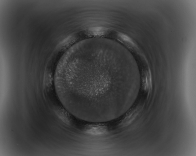 X0000084540555200703231716