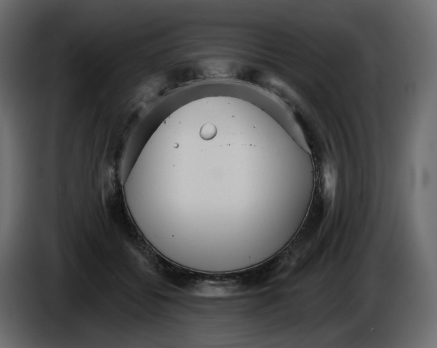 X0000084540556200703231716