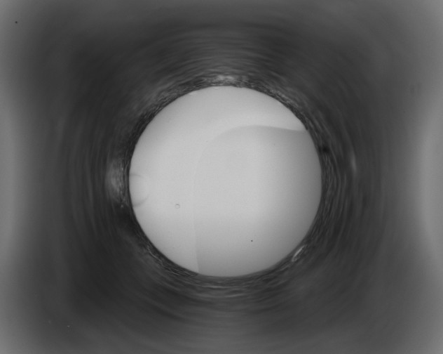 X0000084540559200703231716