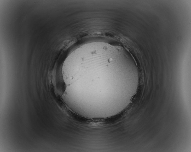 X0000084540560200703231716