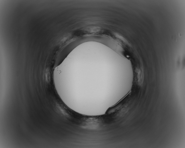 X0000084540562200703231717