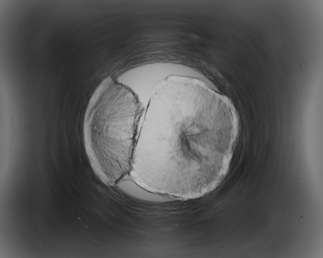 X0000084540565200703231717