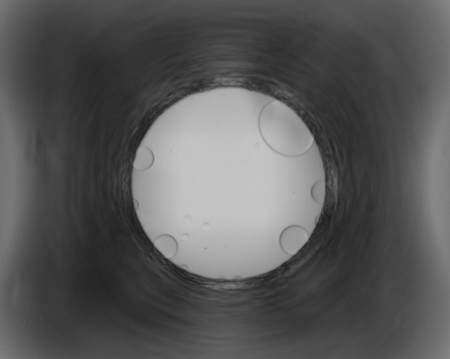 X0000084540567200703231717