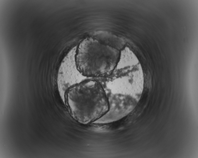 X0000084540569200703231717