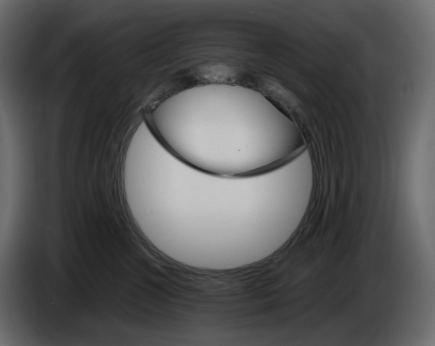 X0000084540572200703231717