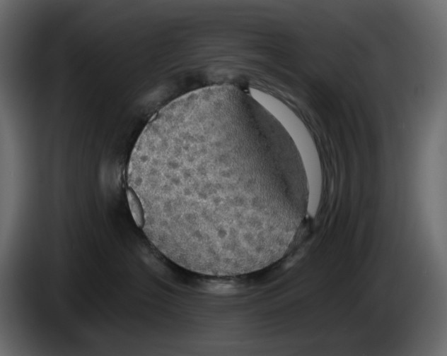 X0000084540574200703231717