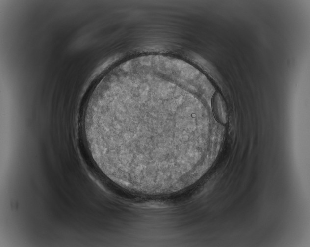 X0000084540578200703231716