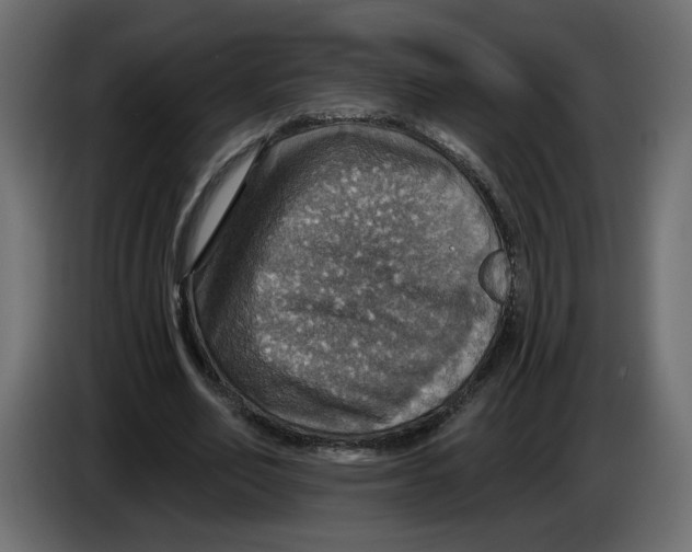 X0000084540582200703231716