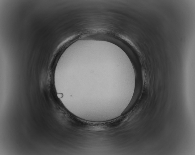 X0000084540583200703231716