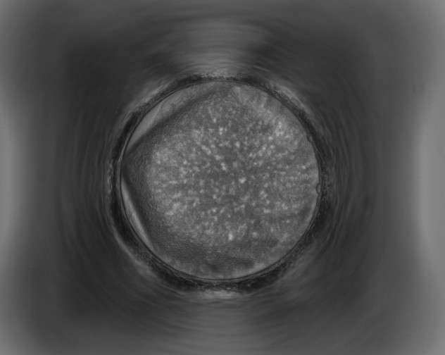 X0000084540586200703231716