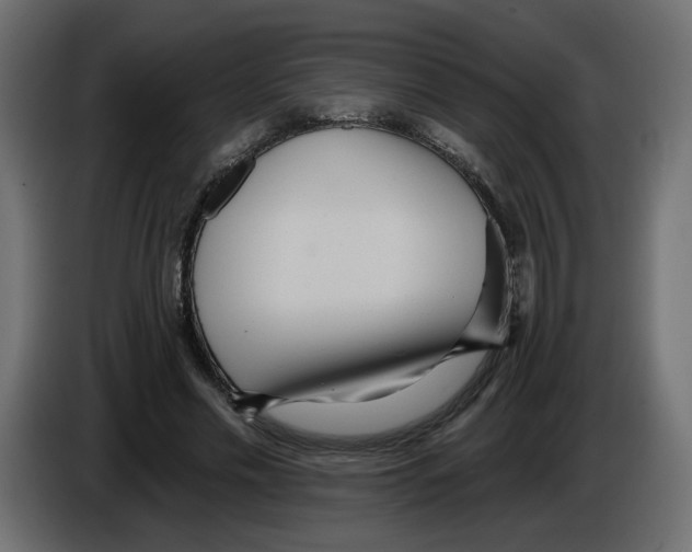 X0000084540589200703231716