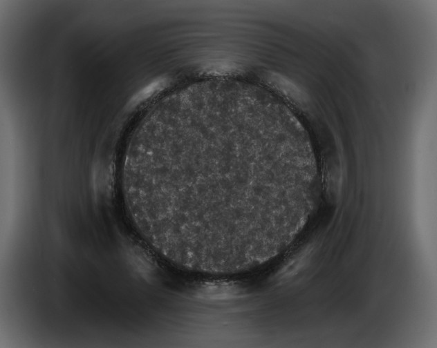 X0000084540591200703231716