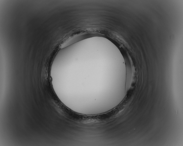 X0000084540593200703231716