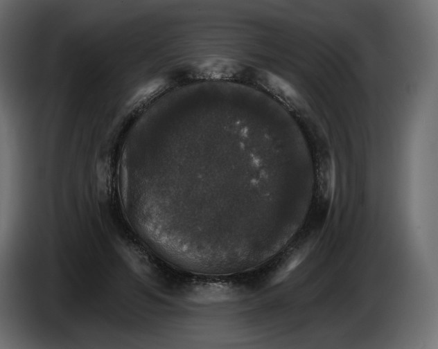 X0000084540594200703231716