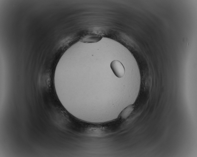 X0000084540595200703231716