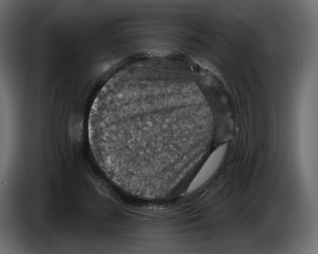 X0000084540596200703231716