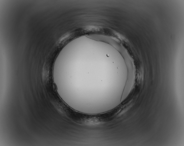 X0000084540600200703231716