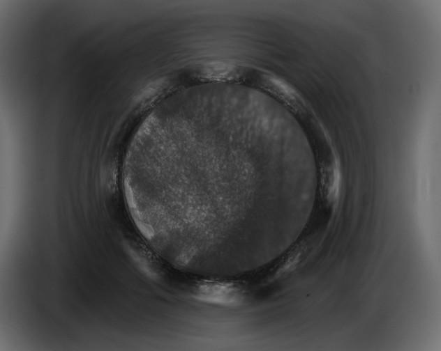 X0000084540602200703231716