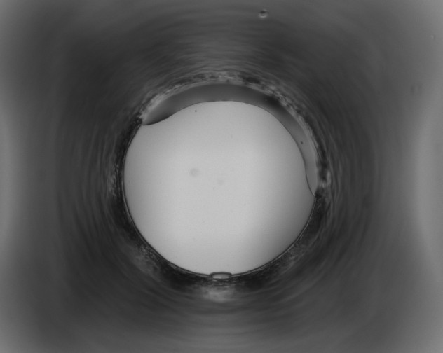 X0000084540604200703231716