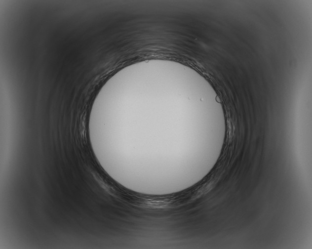 X0000084540606200703231716