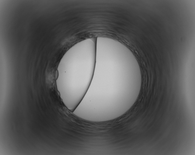 X0000084540609200703231716