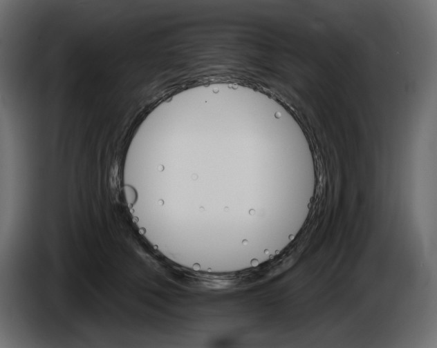 X0000084540610200703231716